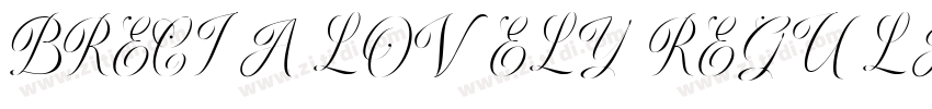 BRECIA LOVELY REGULA字体转换